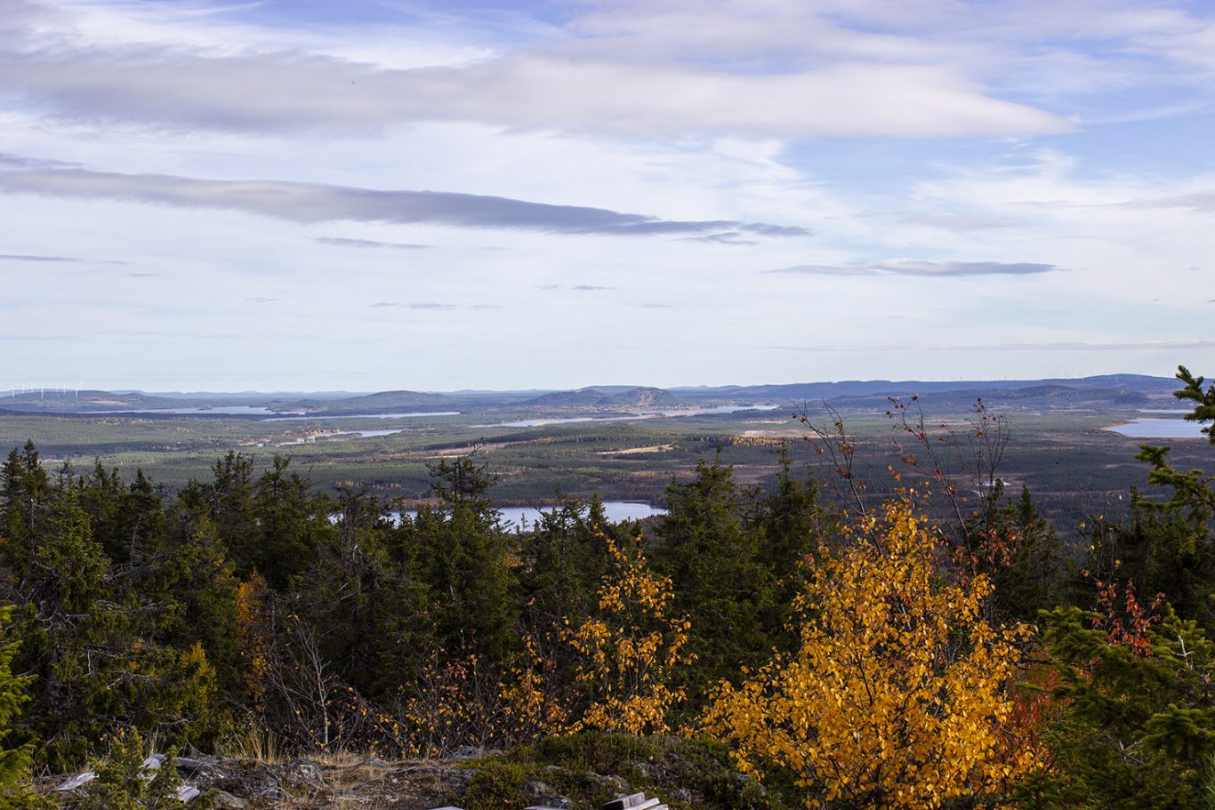 Utsikt från berg i Malå